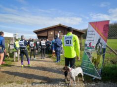 Canicross nel bosco di Gattaceca. La prima gara romana di una meravigliosa disciplina a sei zampe