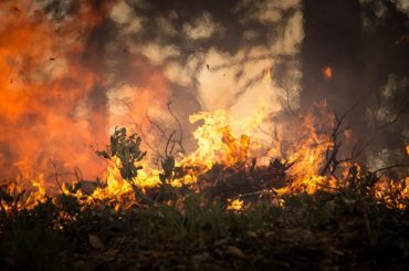 Monterotondo. Rischio incendi: prevenzione e controllo del territorio con aerofotogrammetria