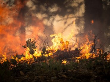 Monterotondo. Rischio incendi: prevenzione e controllo del territorio con aerofotogrammetria