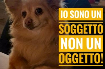 Manifestazione nazionale “Soggetti non oggetti” organizzato dal Comitato Tutela Diritti Animali