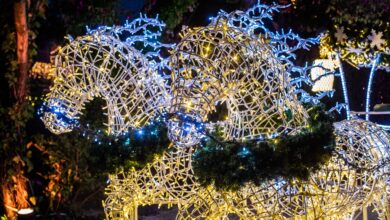 Christmas World evento di chiusura nel nome della solidarietà