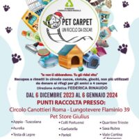 Arriva “Pet Carpet: Un Riciclo da Oscar”, la campagna natalizia green “riusa & ricicla” accessori pet da donare ai rifugi