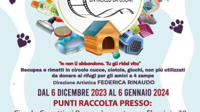 Arriva “Pet Carpet: Un Riciclo da Oscar”, la campagna natalizia green “riusa & ricicla” accessori pet da donare ai rifugi