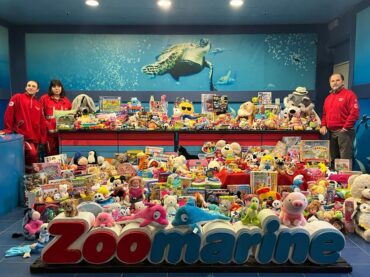 La seconda vita dei giocattoli. A Zoomarine il Natale diventa solidale e sostenibile oltre al divertimento