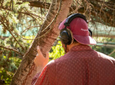 Botanical Soundscape: il verde di Roma diventa musica, partitura, concerto il 2 ottobre al Parco di San Sisto
