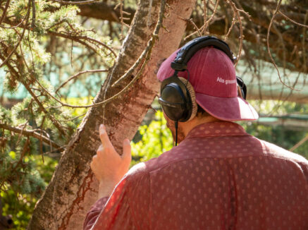 Botanical Soundscape: il verde di Roma diventa musica, partitura, concerto il 2 ottobre al Parco di San Sisto