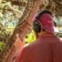 Botanical Soundscape: il verde di Roma diventa musica, partitura, concerto il 2 ottobre al Parco di San Sisto