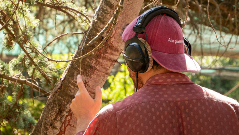 Botanical Soundscape: il verde di Roma diventa musica, partitura, concerto il 2 ottobre al Parco di San Sisto